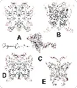 Sagoma farfalla mandala cm. 15